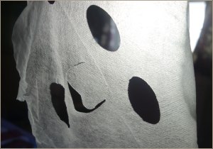 mangosteen-sheet-mask-6